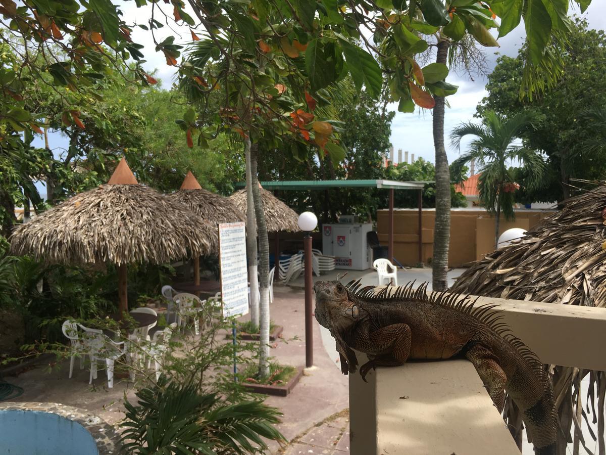 Bay View Hotel Panama Zewnętrze zdjęcie